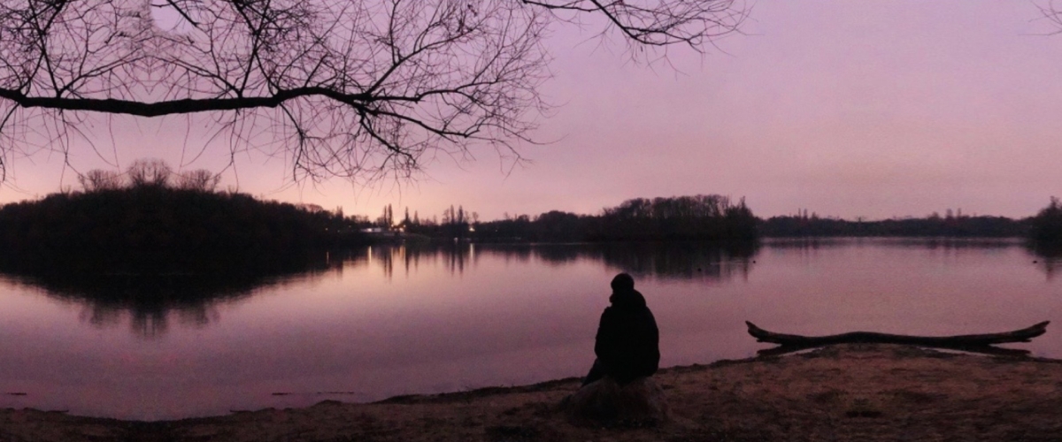 Befreiung aus den immer gleichen Problemschleifen | Strategien zur Gestaltung von Lösungen | Di Gaudio Coaching  