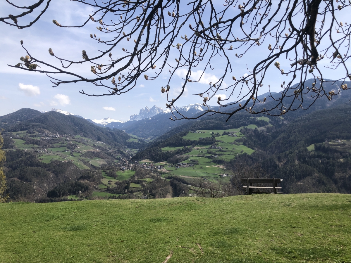 Anne M. Lang, Institutsleitung, Milton Erickson Institut Bonn | Di Gaudio Coaching  