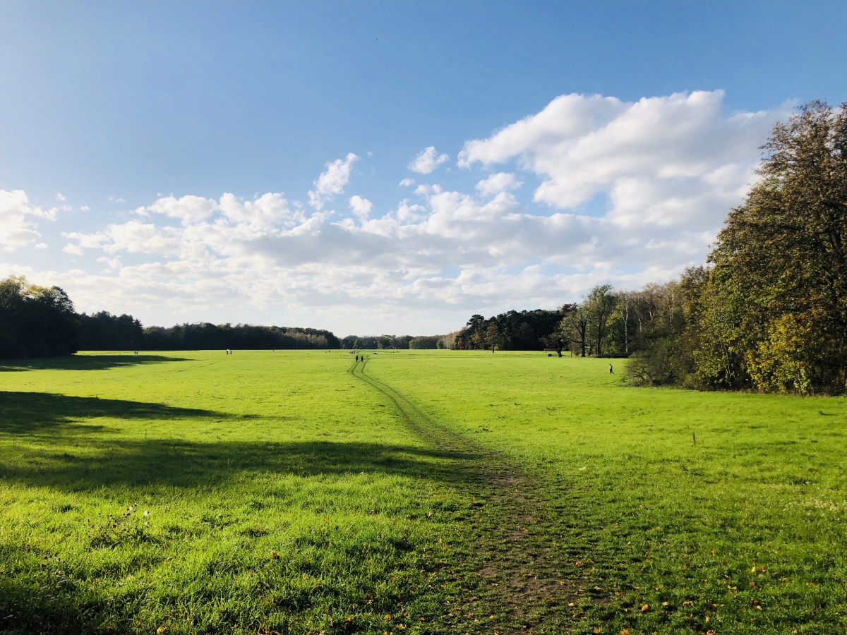 Vom Teufelskreis zum Engelskreis | Di Gaudio Coaching  